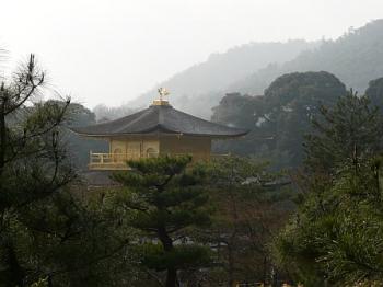 The golden temple in Kyoto The golden temple in Kyoto